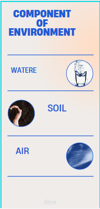انفوجرافيك يوضح عناصر البيئة