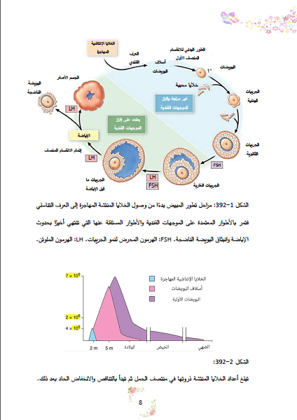 تنسيق ملف وورد باحترافية