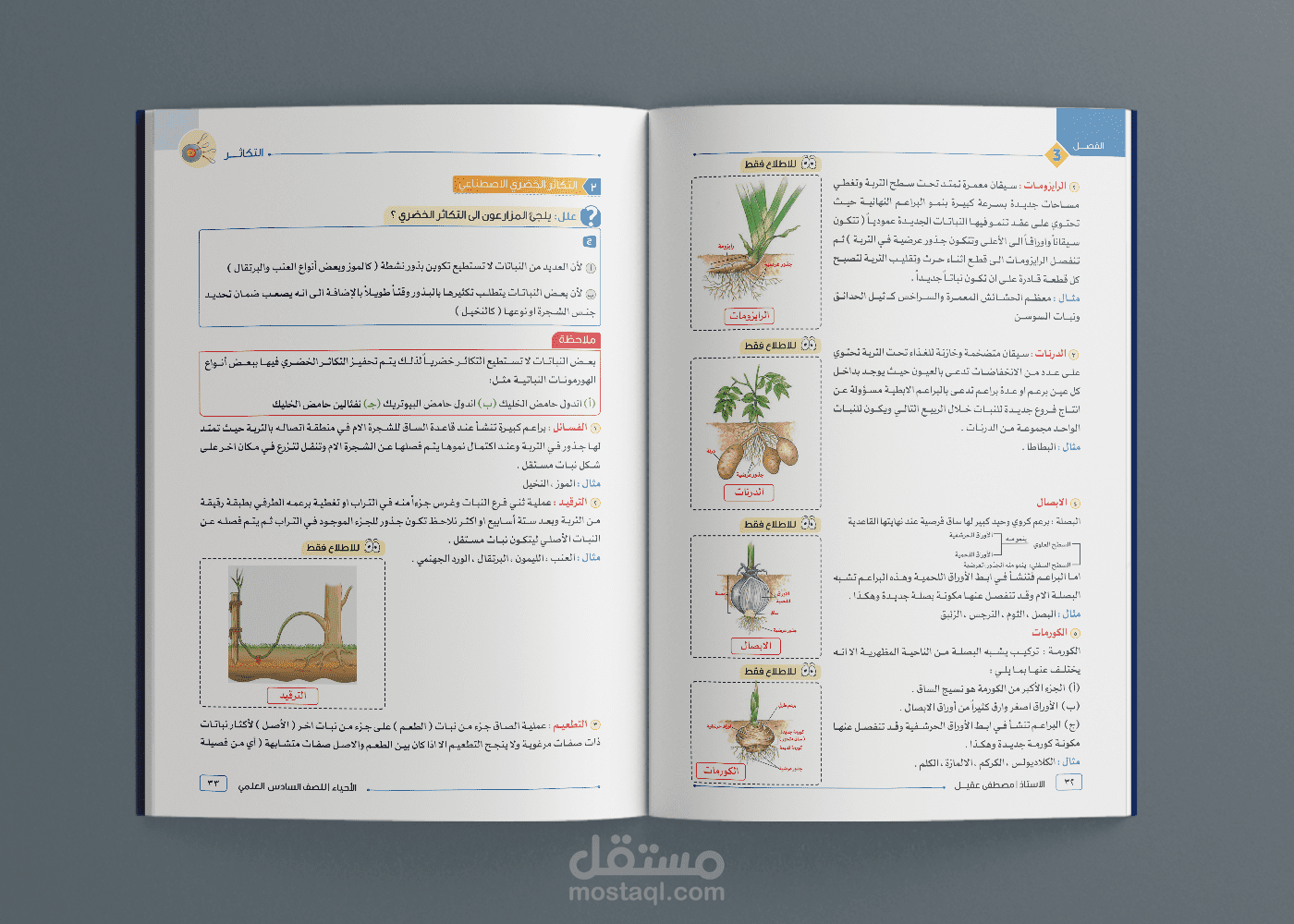 تنسيق كتاب تعليمي لمادة الأحياء