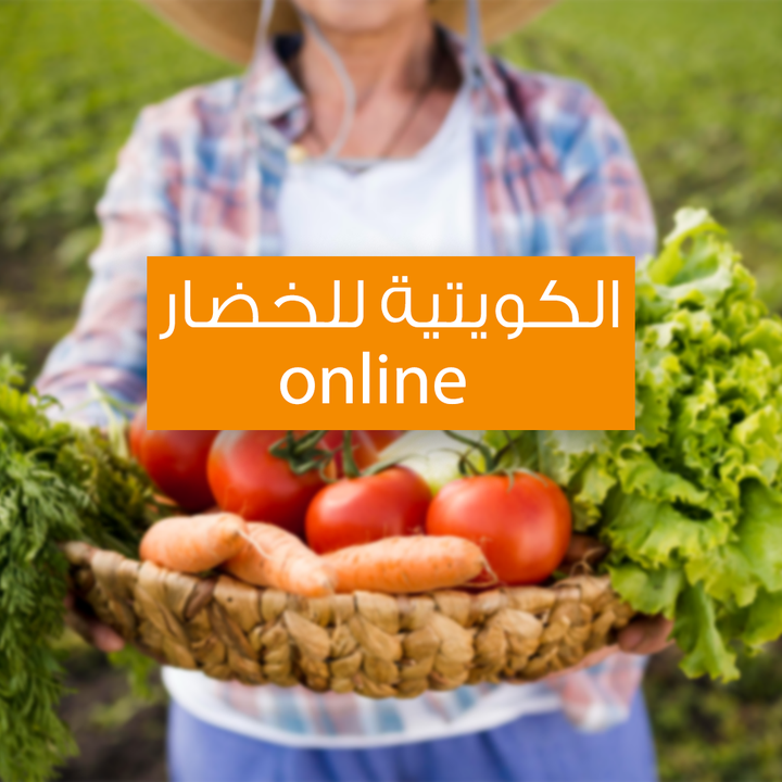 الشركة الكويتية لبيع الخضار اونلاين