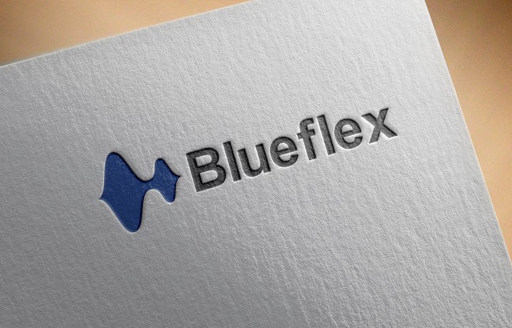 Bluefelx | company logo design