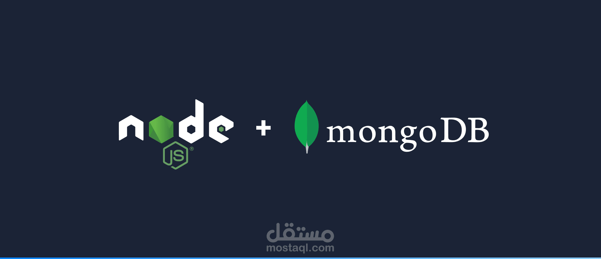 إنشاء تقارير تفاعلية من قاعدة بيانات (MongoDB)