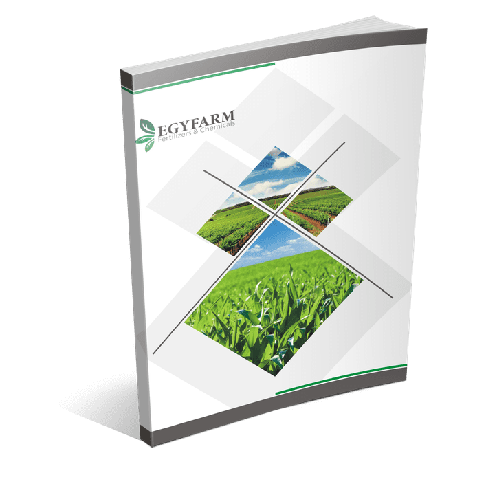 Egyfarm Catalogue Design تصميم كاتلوج شركة ايجي فارم