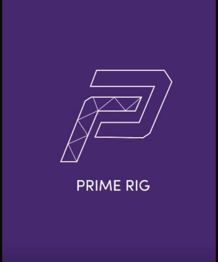 Prime Rig app