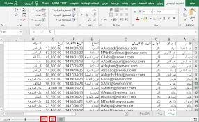 تفريغ بيانات فى ملف إكسيل بإحترافية