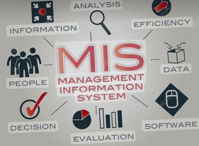 Business management information system