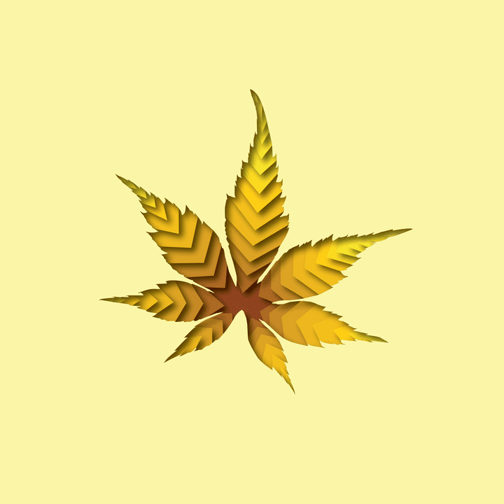 Leaf Design