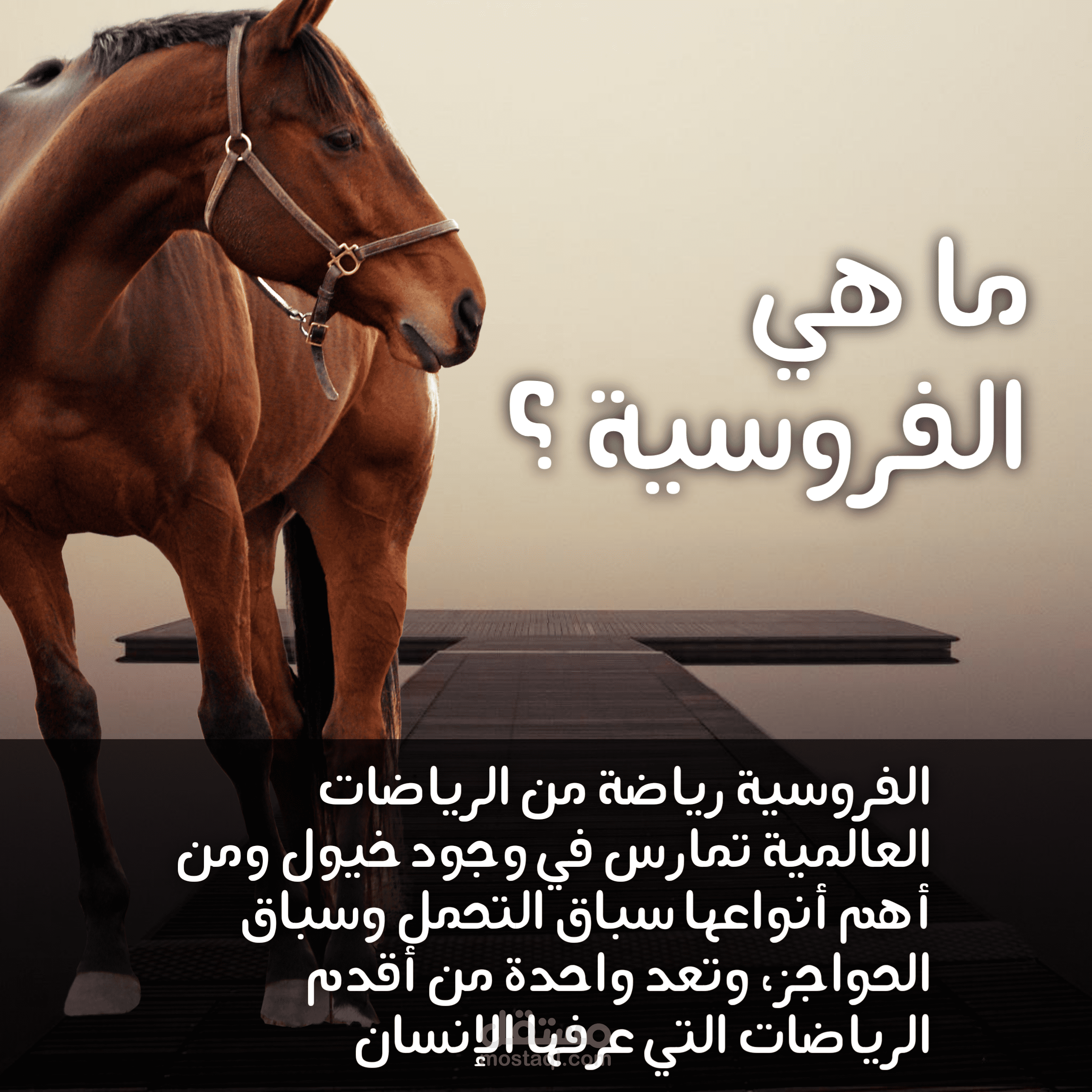 تصميم بوست انستغرام للفروسية