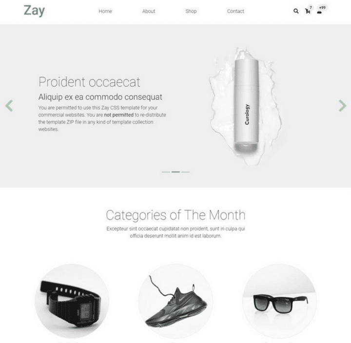 Zay Shop Template