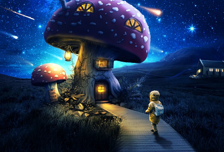 Mushroom house photomanipulation post design