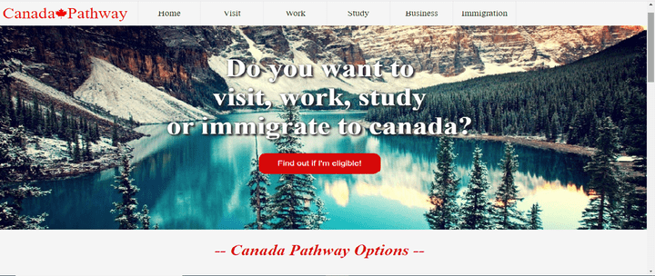 https://github.com/M-mahany/ImmigrationWebsite