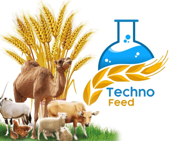 Techno Feed Branding