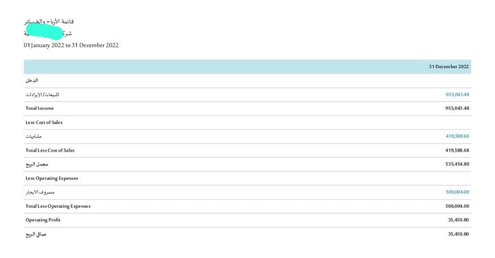 قائمة الأرباح والخسائر عام 2022