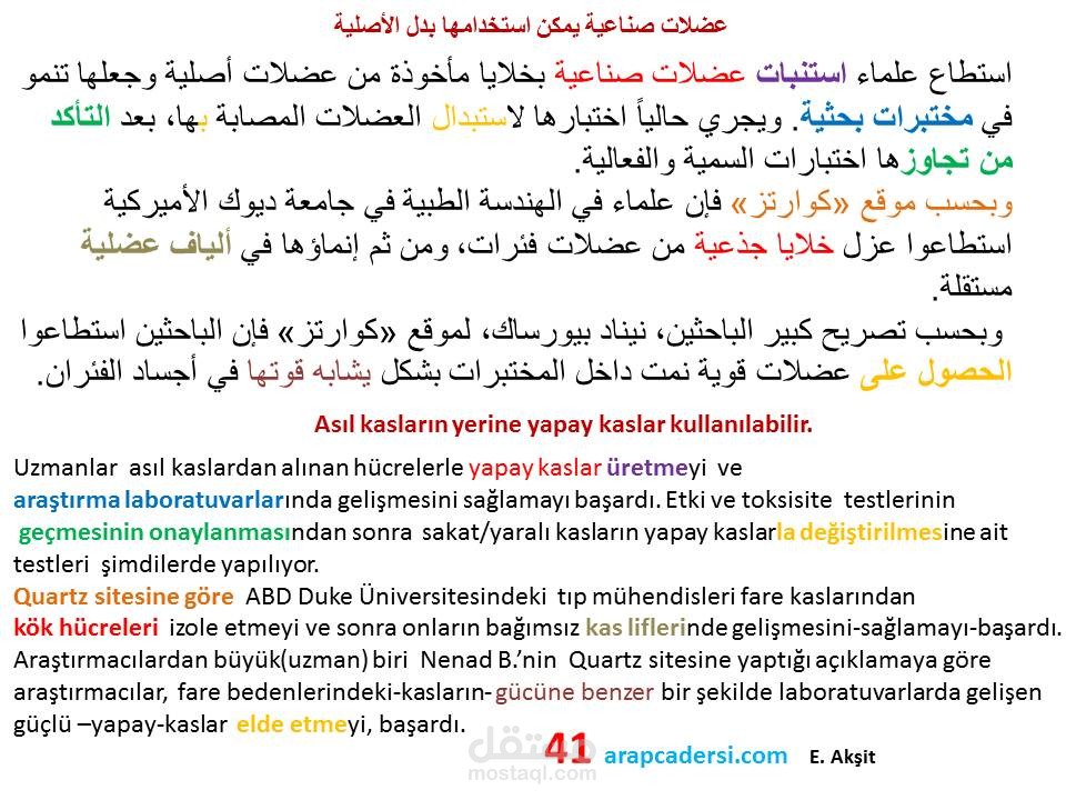 ترجمة لغة انكليزية و تركية