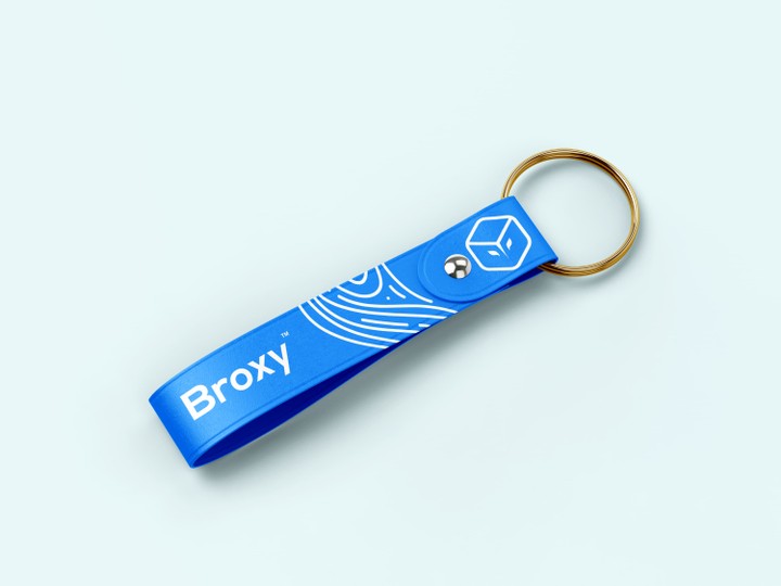 Logo - Broxy (project 2)