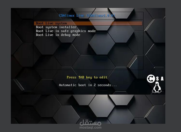 CSA Linux