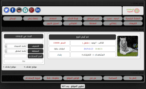 تطوير سكربت إعلانات مبوبة