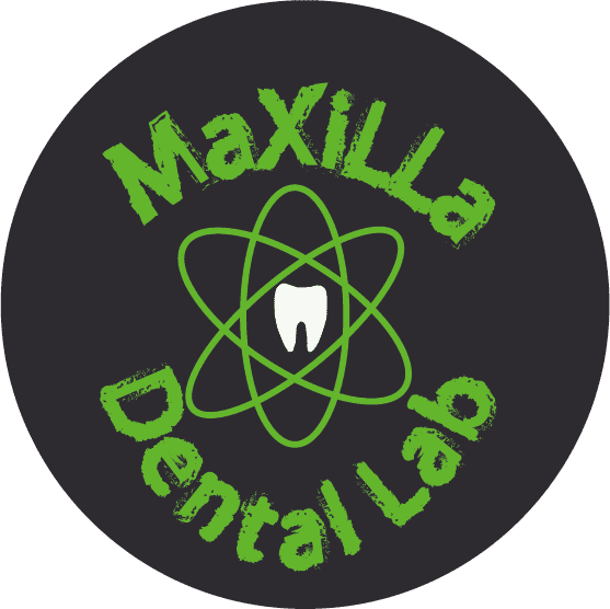 maxilla