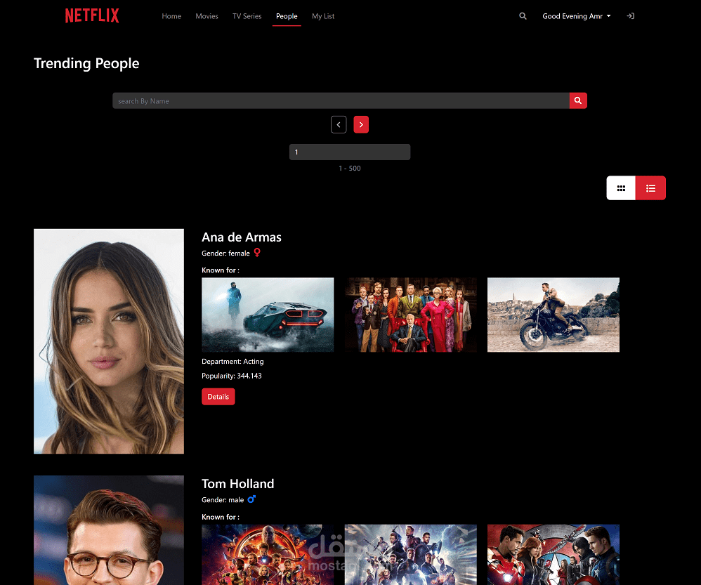 Netflix clone Website