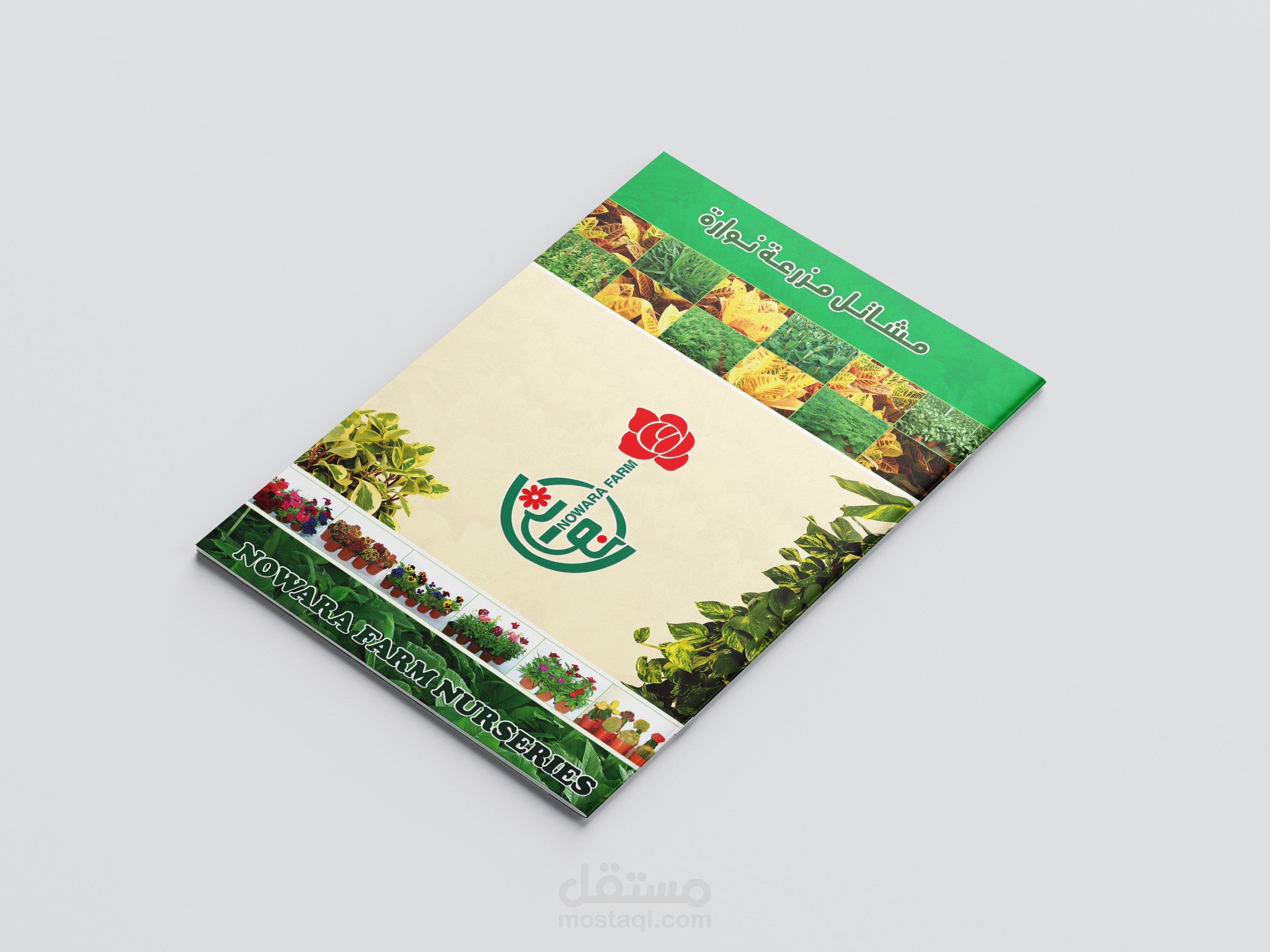 بروشور نوارة /  Nowara co. (A4) brochure