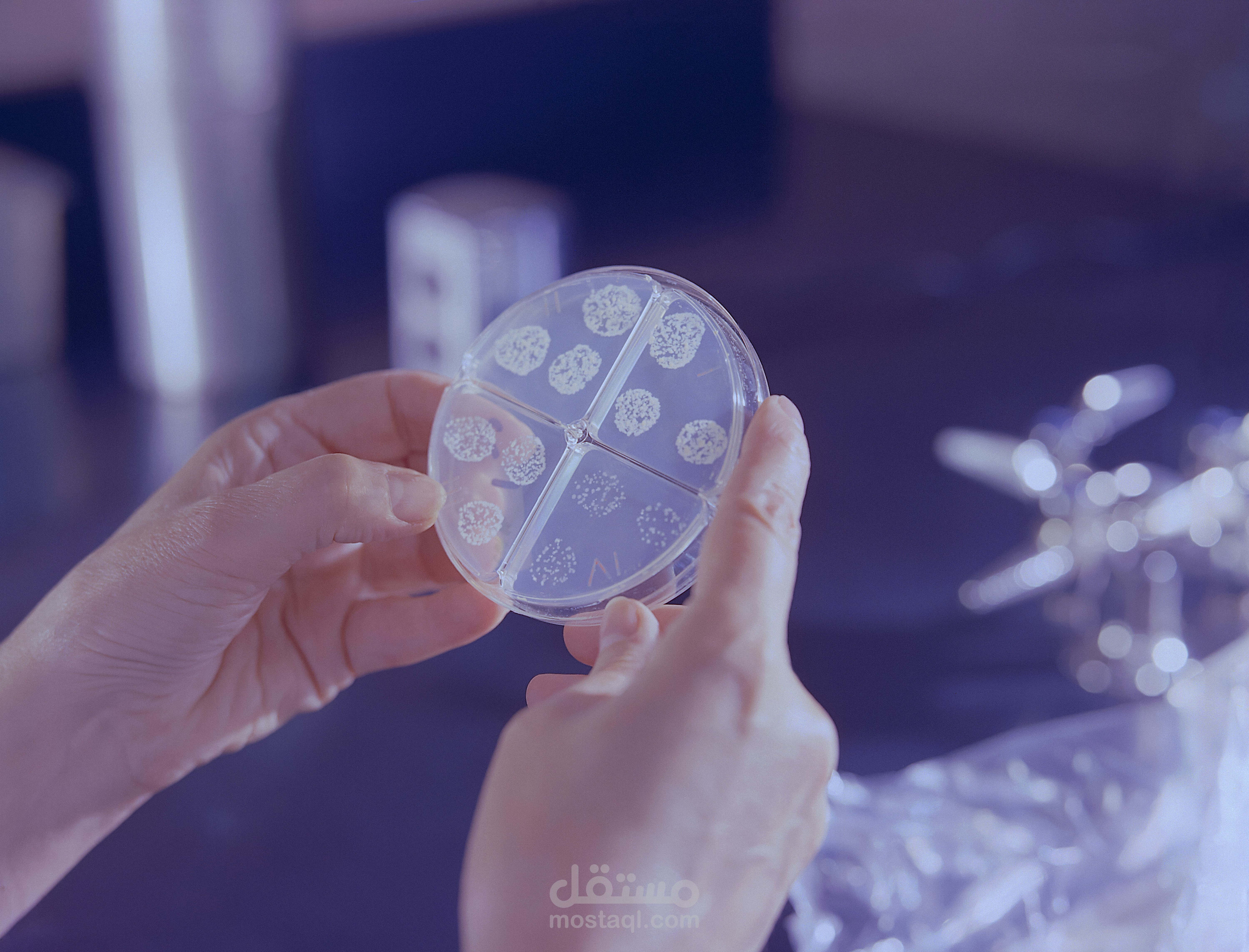 حل مبتكر وسريع لتشخيص مرض السل (TB) باستخدام اختبار محمول داخل أنبوب