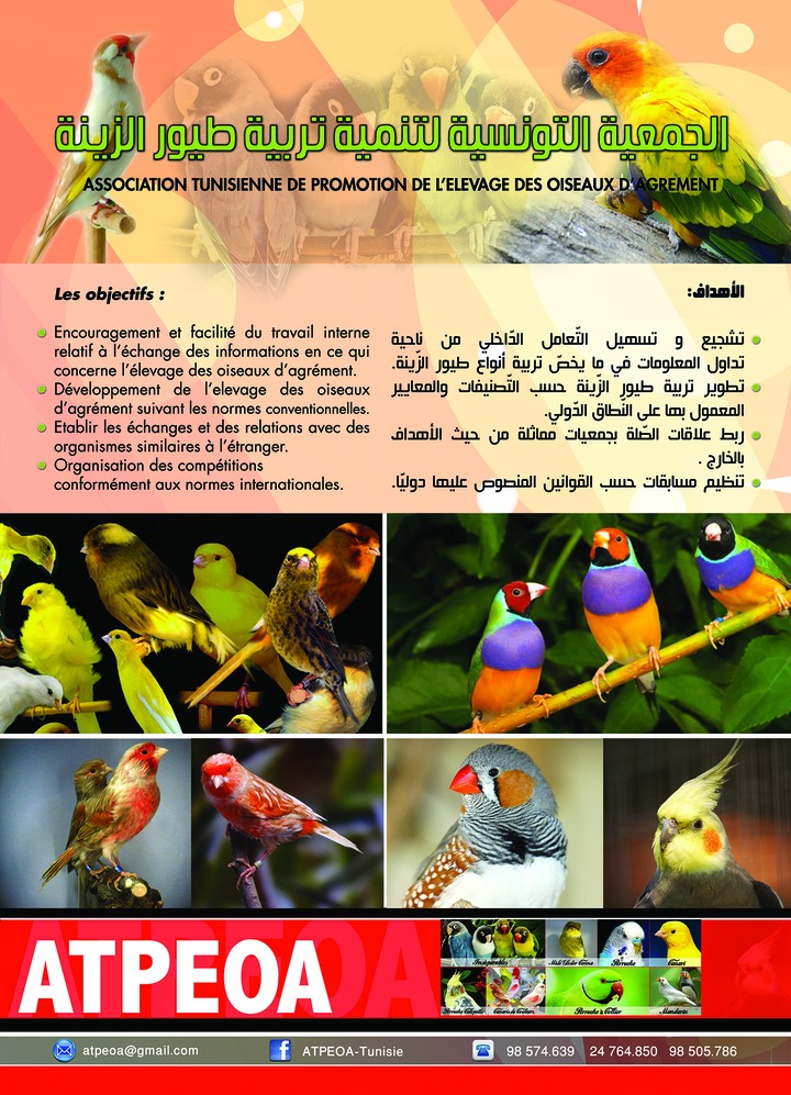 معلقة إشهارية لجمعية التونسية لتربية طيور الزينة