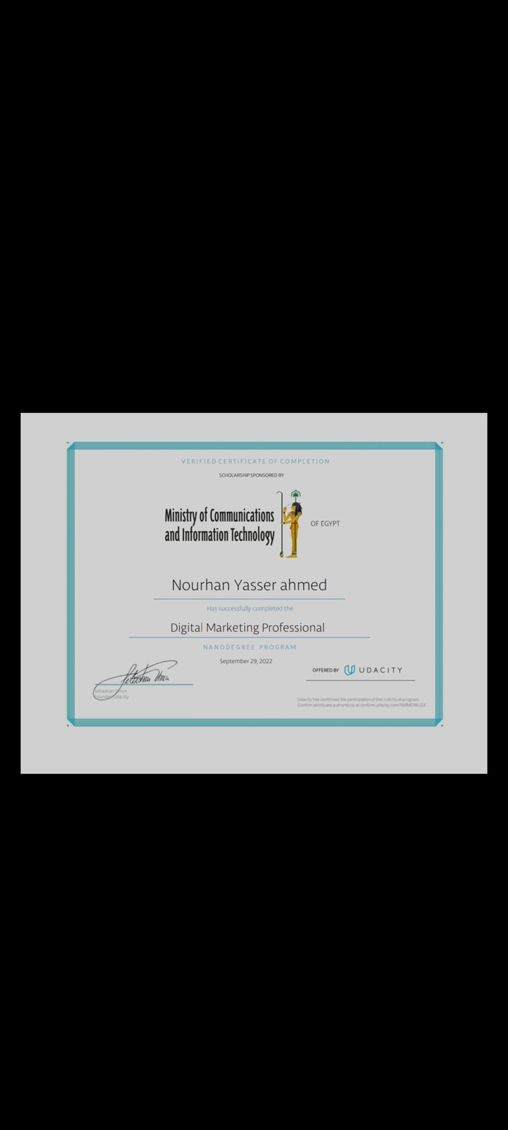 Udacity  professional track digital marketing