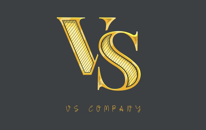 VS COMPANY LOGO