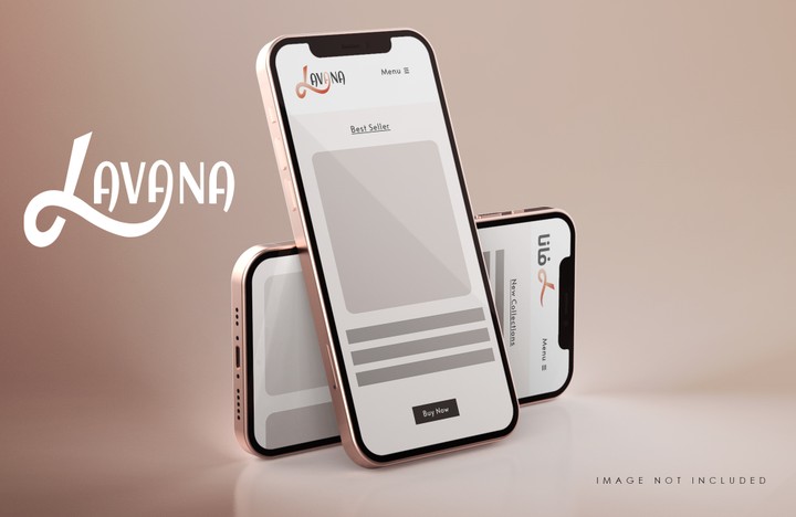 LAVANA e-commerce company