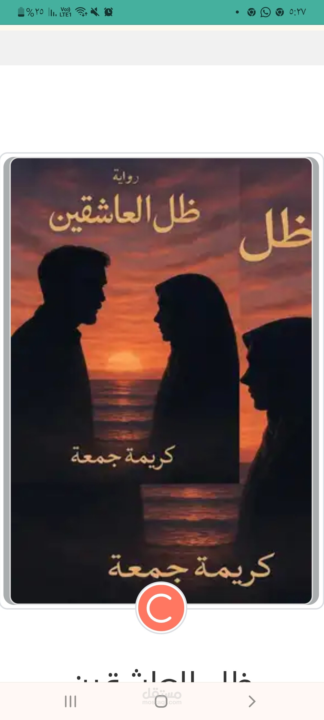 رواية ظل العاشقين  .