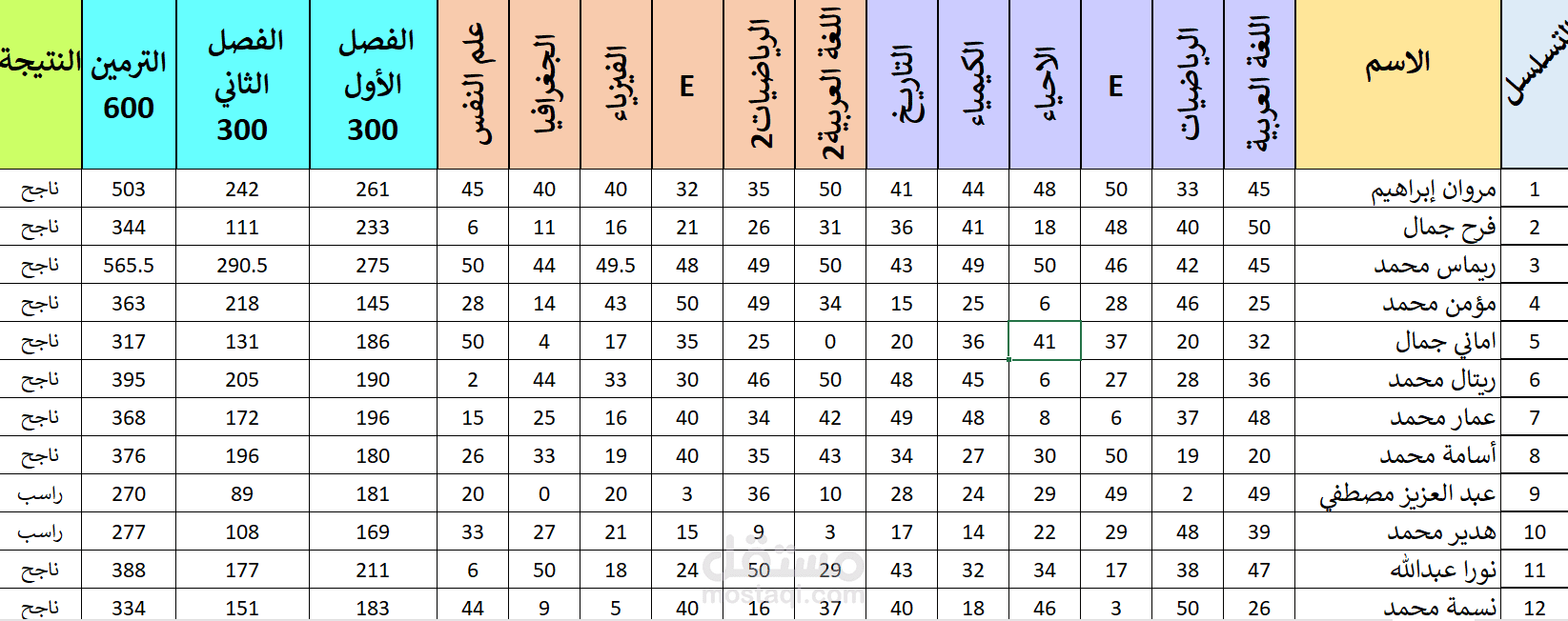 ادخال بيانات علي الاكسيل