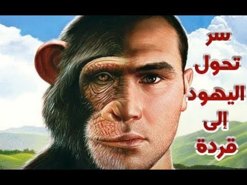 عينة تعليق صوتي 3  | نبرة وثائقية ودينية