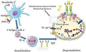 Drug Desensitization