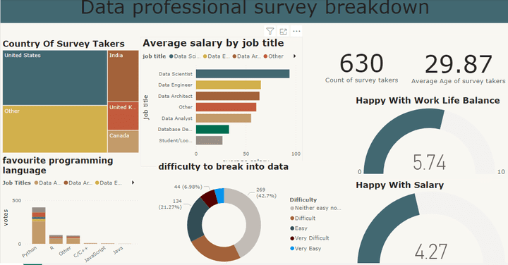 power bi project