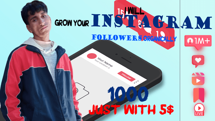 i will grow your instagram followers organically