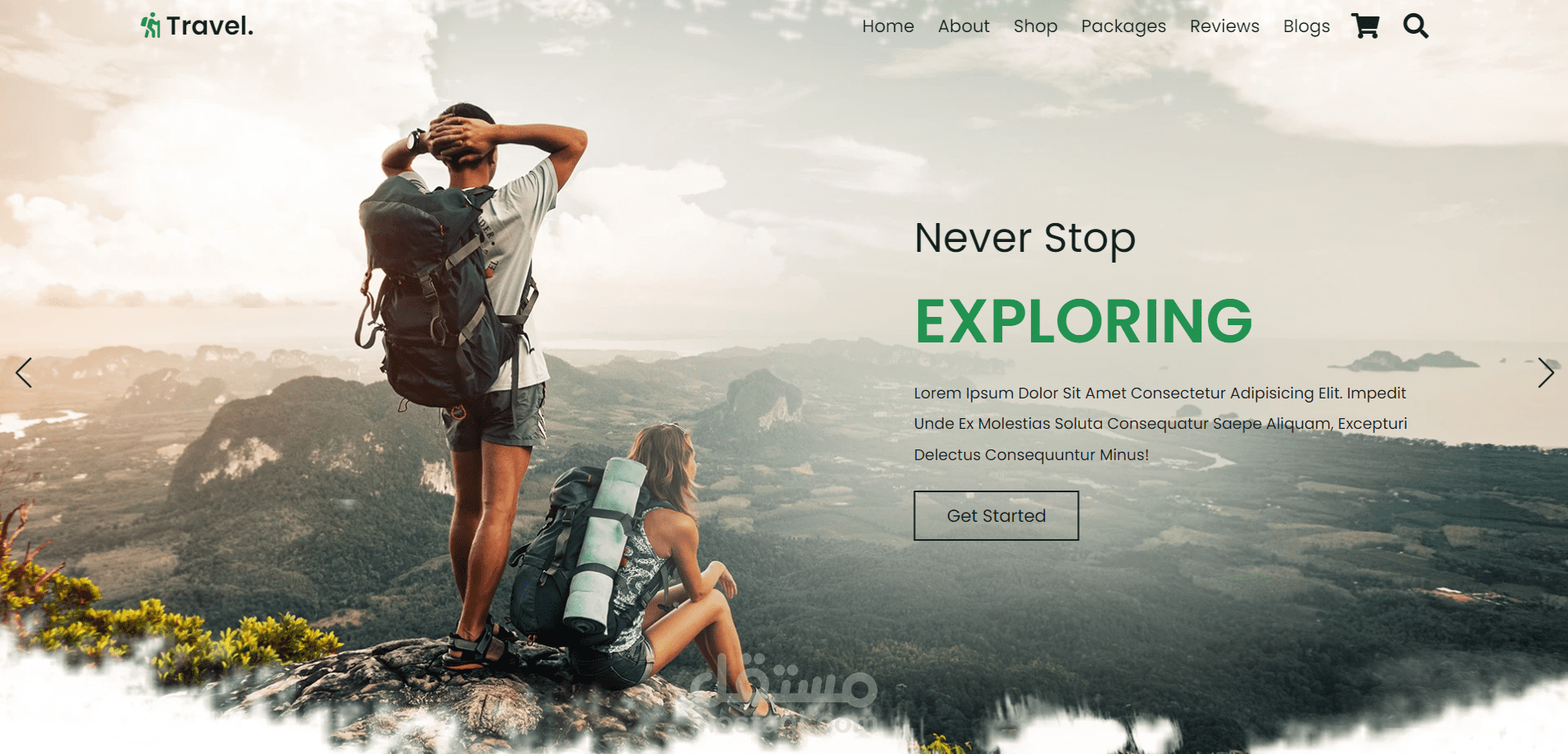 travelling website