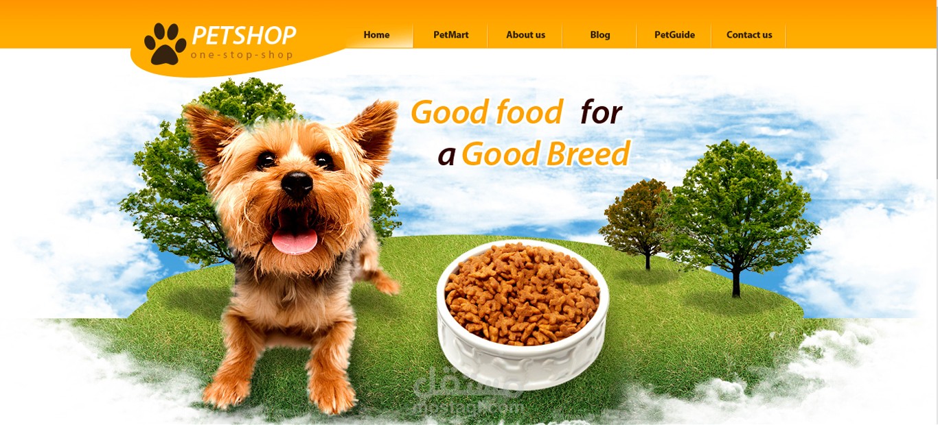 تطوير وتأهيل موقع petshop مع فريقي البرمجي السابق NJWM Group