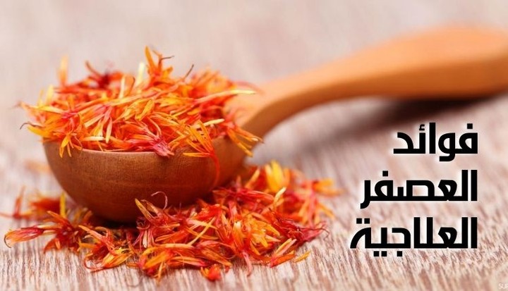 فوائد العصفر العلاجية (seo)