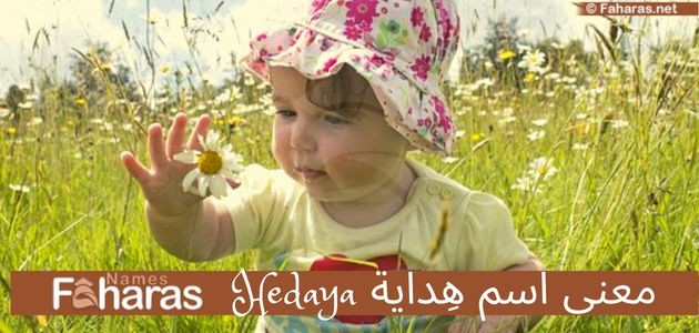 معنى اسم هداية؛ تفسير Hedaya في القرآن وحكم التسمية ورؤية اللقب في المنام