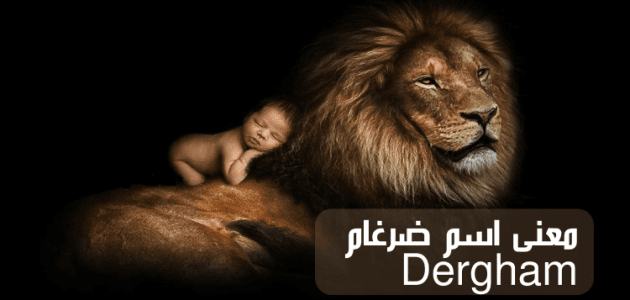 معنى اسم ضرغام؛ حكم التسمية وأبرز الشخصيات التي حملت لقب Dergham