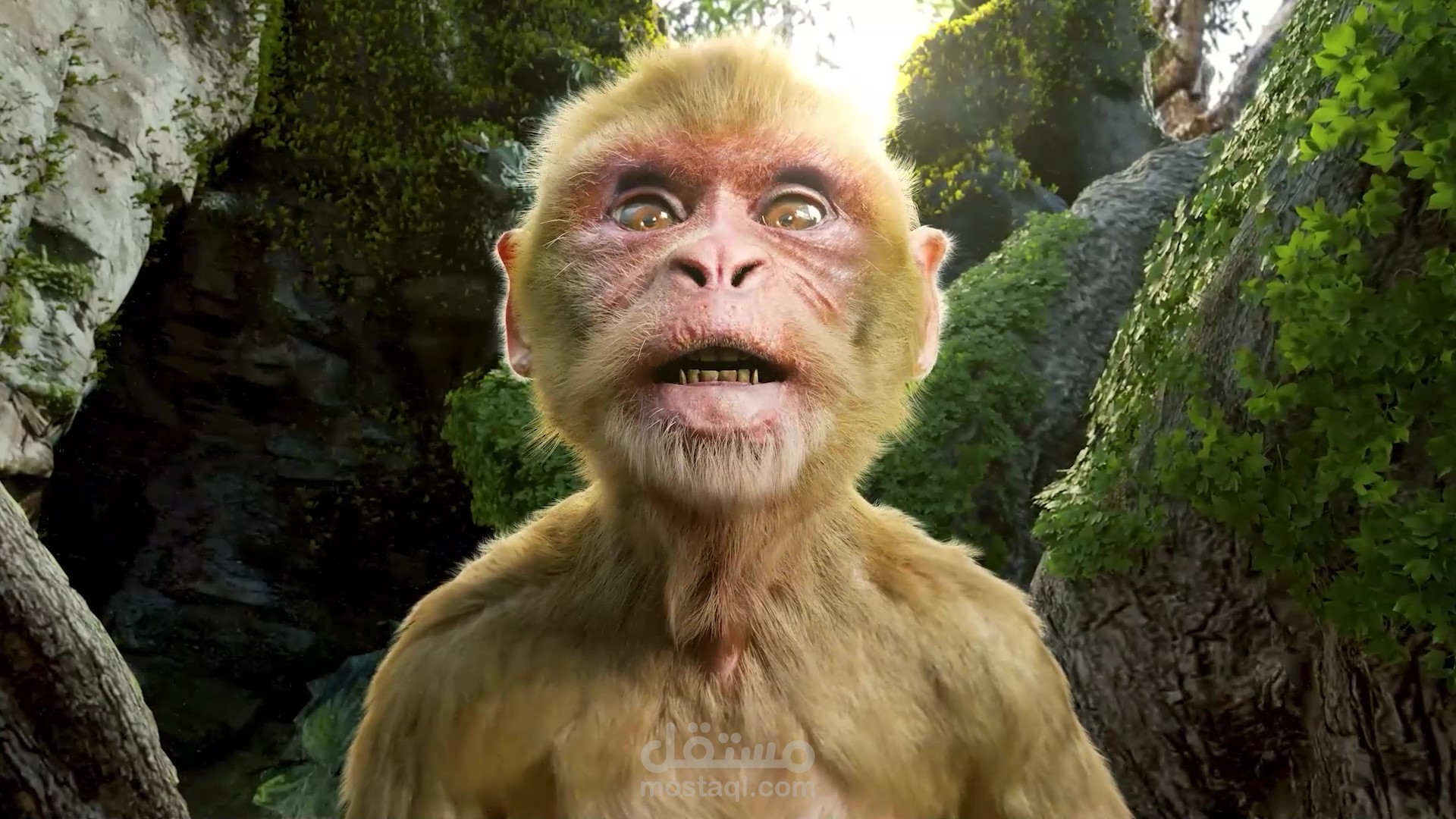 3D Animation collection