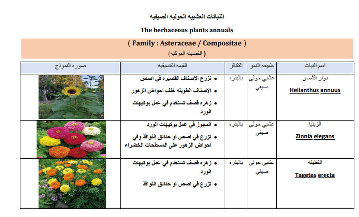 كتابه ملف ورد مع اضافه الصور في جدول