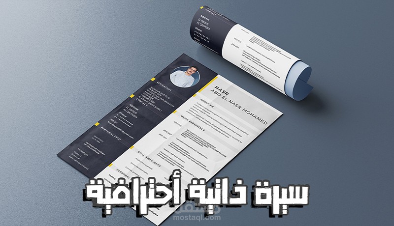 سيرة ذاتية أحترافية