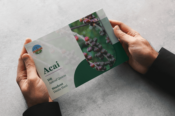 Presentation of the Acai plant