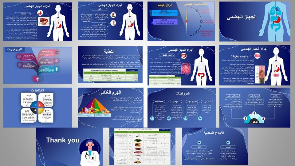 تصميم عرض تقديمي عن الجهاز الهضمي باستخدام الانفوجرافيك