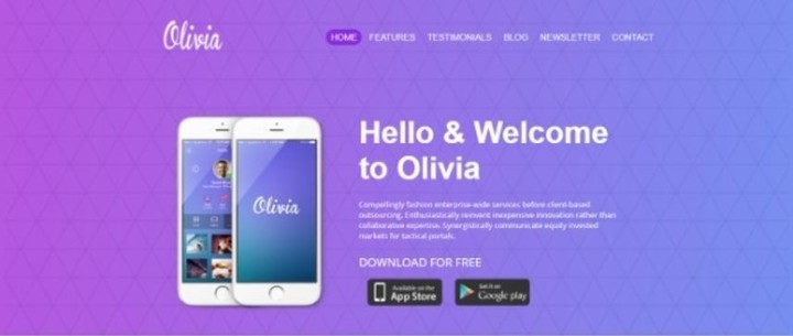 برمجة و تصميم و تطوير موقع ( Landing Page ) باستخدام Visual Studio Code , HTML , CSS لصالح شركة Olivia