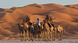 تدقيق لغوي لمقتطف من مقال
