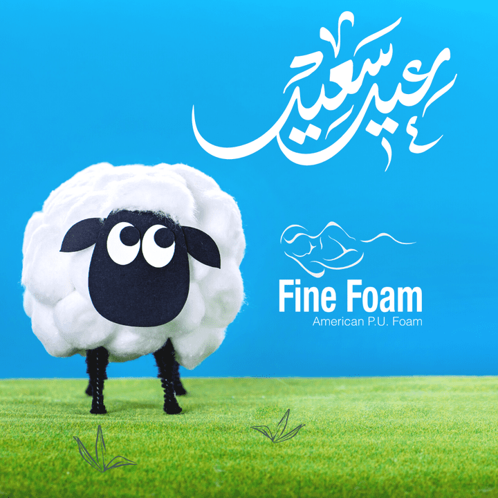 Fine Foam (Egypt)