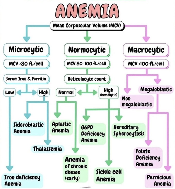 anemia-types-classification