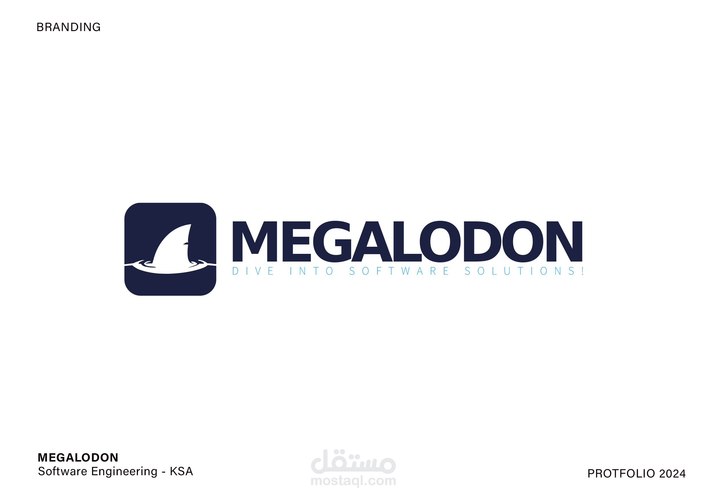 شركة برمجية ميجالدون - technology company " meagaldon"